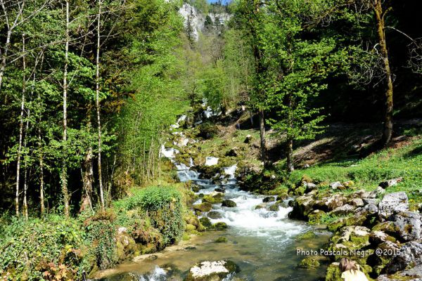 Les cascades du Drouvenant à La Frasnée