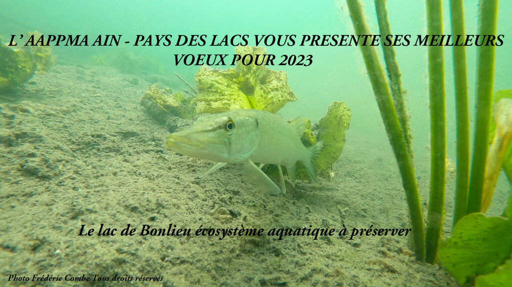 Ain_-_Pays_des_Lacs_Voeux_2023.jpg
