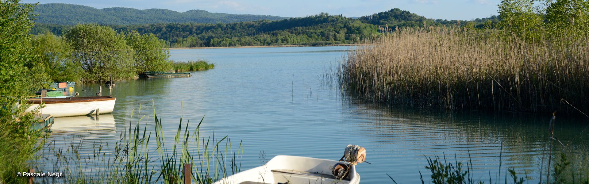 Grand Lac de Clairvaux